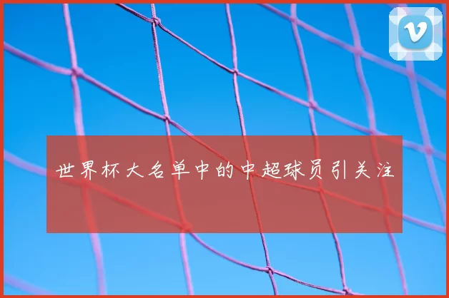 世界杯大名单中的中超球员引关注