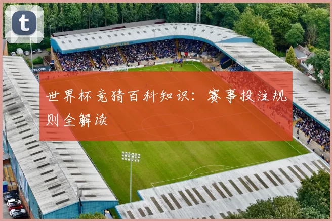 世界杯竞猜百科知识：赛事投注规则全解读
