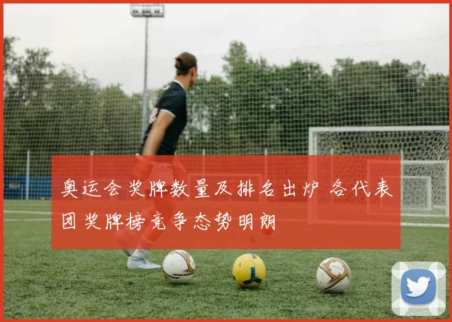 奥运会奖牌数量及排名出炉 各代表团奖牌榜竞争态势明朗