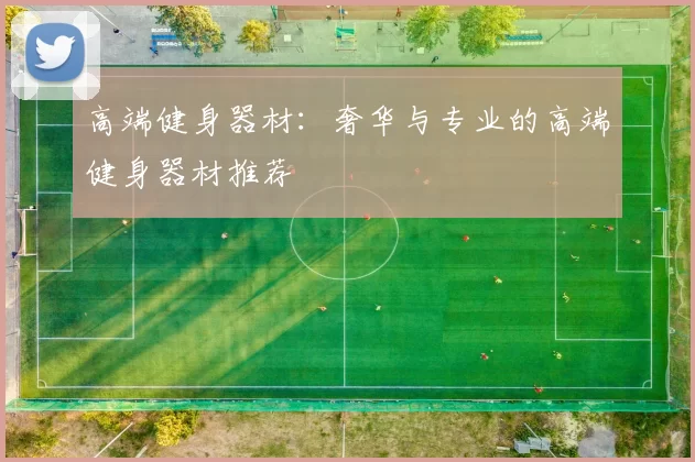 高端健身器材:奢华与专业的高端健身器材推荐
