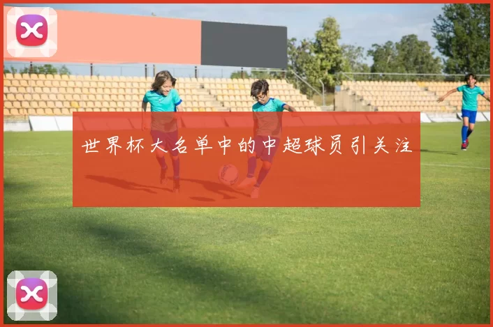 世界杯大名单中的中超球员引关注
