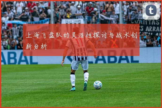 上海飞盘队的灵活性探讨与战术创新分析