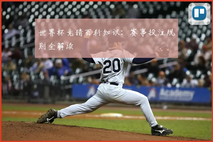 世界杯竞猜百科知识：赛事投注规则全解读
