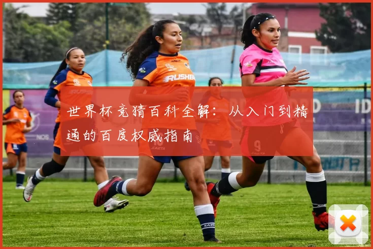 世界杯竞猜百科全解：从入门到精通的百度权威指南