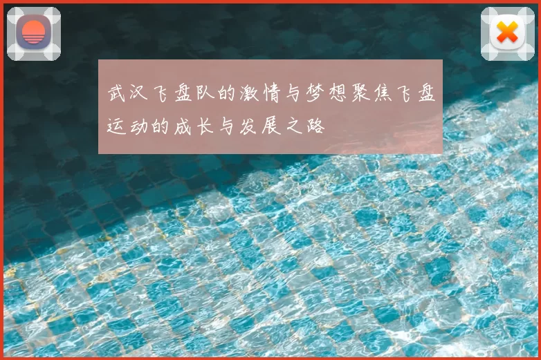 武汉飞盘队的激情与梦想聚焦飞盘运动的成长与发展之路