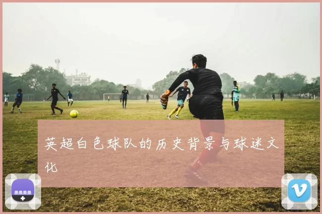 英超白色球队的历史背景与球迷文化