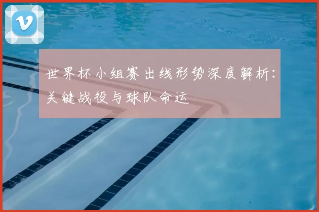 世界杯小组赛出线形势深度解析：关键战役与球队命运