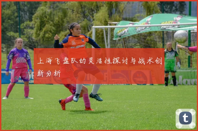 上海飞盘队的灵活性探讨与战术创新分析