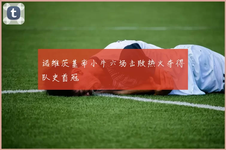 诺维茨基率小牛六场击败热火夺得队史首冠