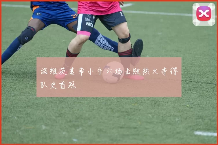 诺维茨基率小牛六场击败热火夺得队史首冠