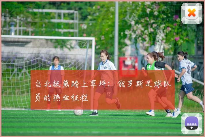 当北极熊踏上草坪：俄罗斯足球队员的热血征程