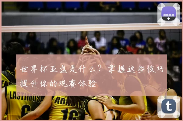 世界杯亚盘是什么？掌握这些技巧提升你的观赛体验