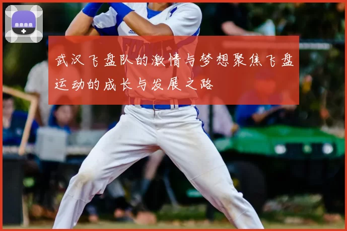 武汉飞盘队的激情与梦想聚焦飞盘运动的成长与发展之路