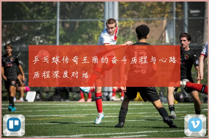 乒乓球传奇王丽的奋斗历程与心路历程深度对话